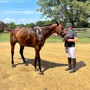 Meet your Posher, Posh